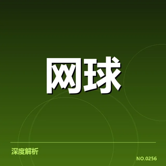 新生代球员崛起路径背后，青年才俊如何突破传统体系实现突破